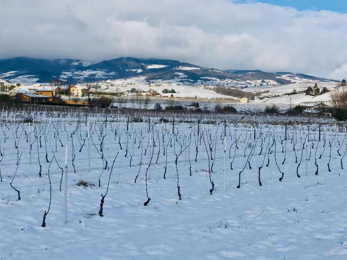 La Boheme, Gite De Charme Quincié-en-Beaujolais Eksteriør bilde