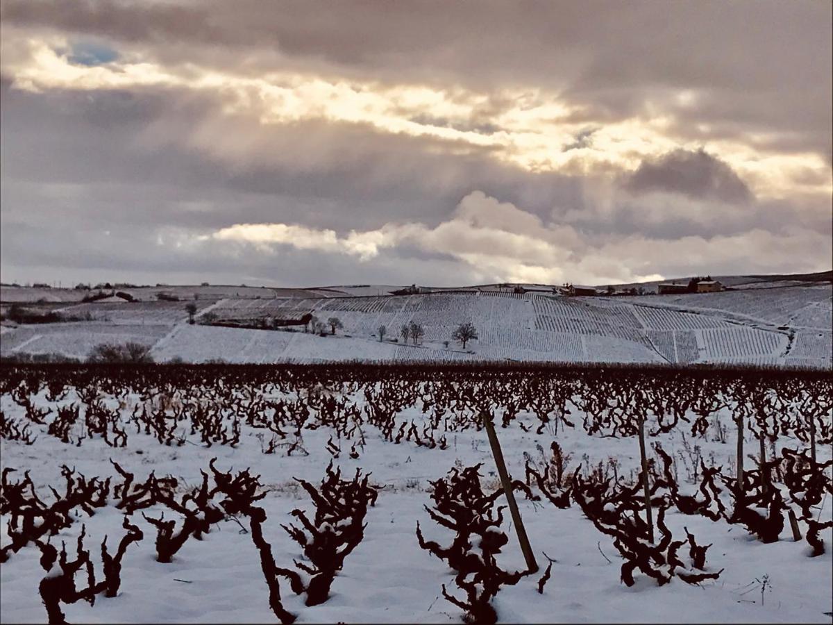 La Boheme, Gite De Charme Quincié-en-Beaujolais Eksteriør bilde